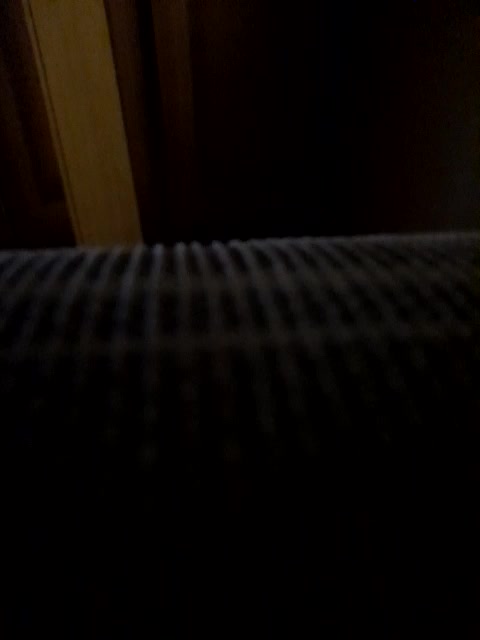 -nelya- Adult Chat September 18, 2025