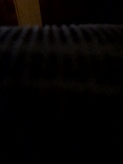 -nelya- Adult Chat September 18, 2025