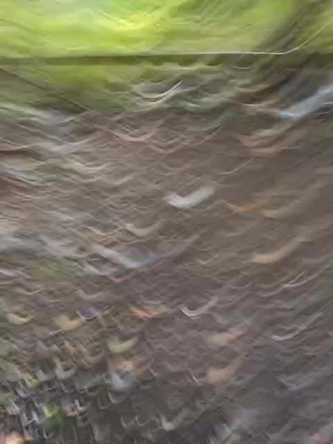 Sweetie29a Adult Chat September 19, 2025