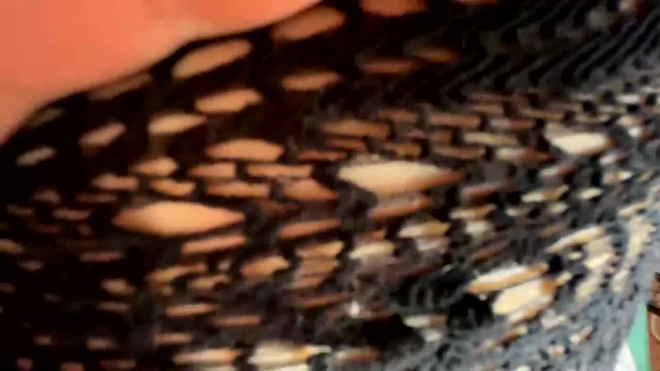 bohemianrhapsody1 Adult Chat September 19, 2025