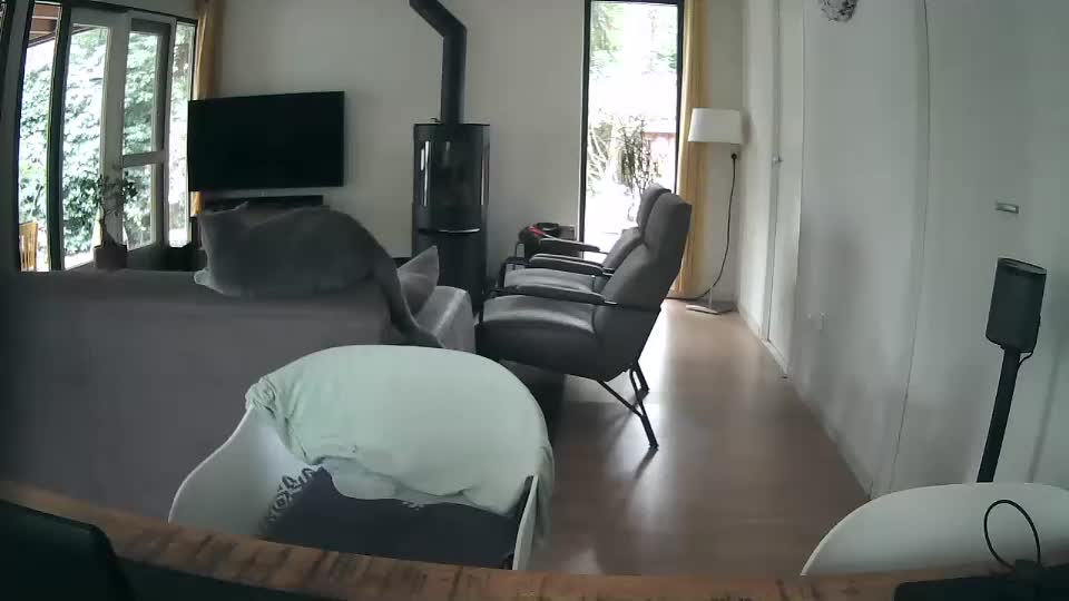 woodwurm Adult Chat September 19, 2025