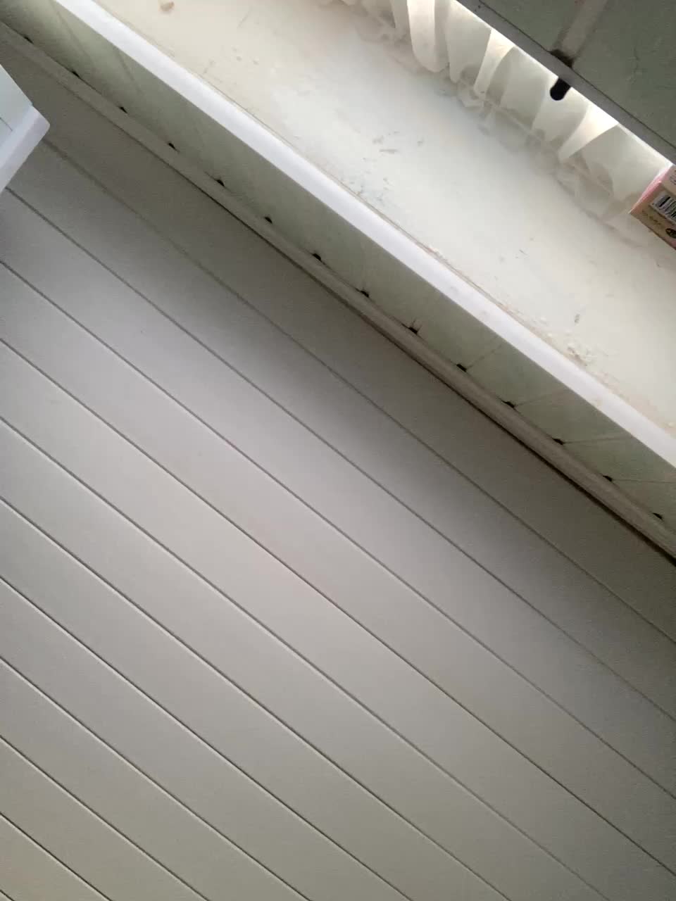 pizzahott Adult Chat September 19, 2025