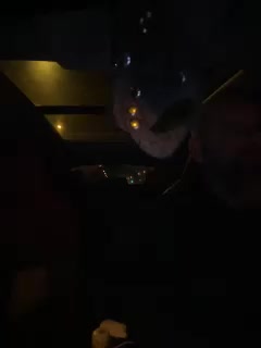 YuGoVi Adult Chat September 19, 2025