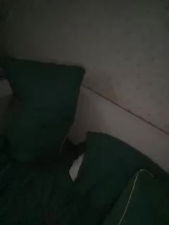 YuGoVi Adult Chat September 19, 2025