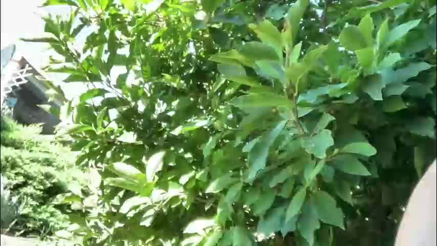 patry333 Adult Chat September 19, 2025