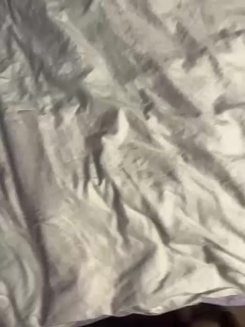 millemimi Adult Chat September 20, 2025