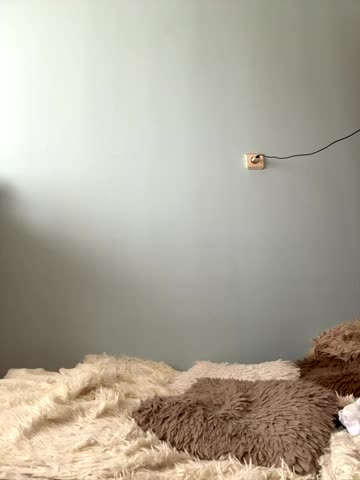 AlisaDoll444 Adult Chat September 20, 2025