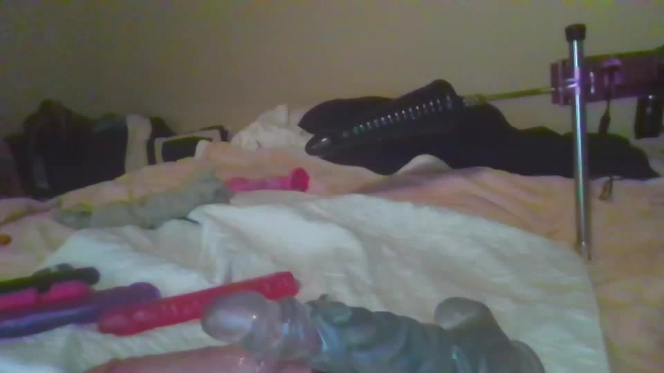 sdbeachfreaks Adult Chat September 20, 2025