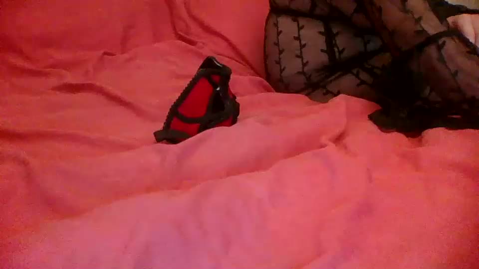 annecharlie Adult Chat September 20, 2025