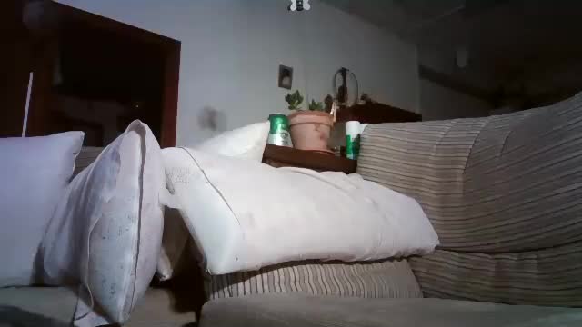 lolahueso Adult Chat September 20, 2025