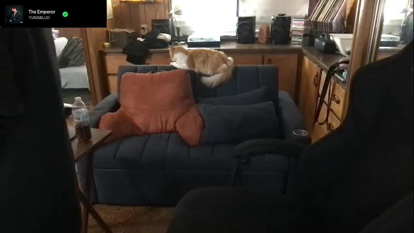 incognitoqueen Adult Chat September 20, 2025