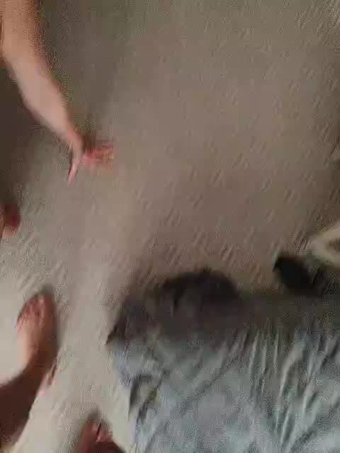 AleksaTop069 Adult Chat September 20, 2025