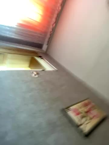 Inkognitoc Adult Chat September 21, 2025