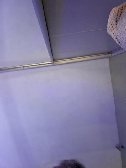 murr-kitty Adult Chat September 21, 2025