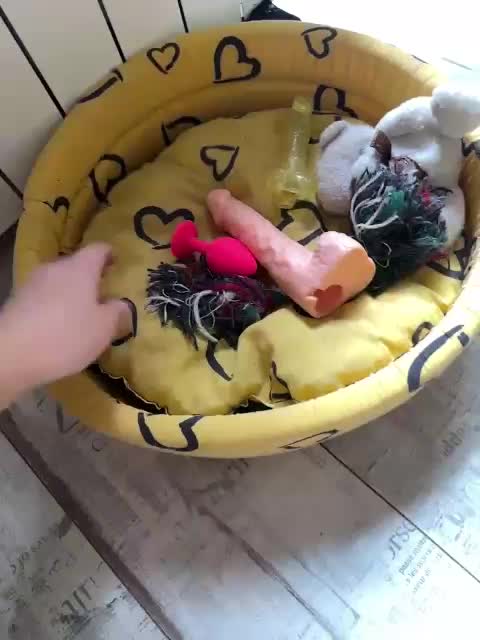 Tvoyasamka77 Adult Chat September 21, 2025