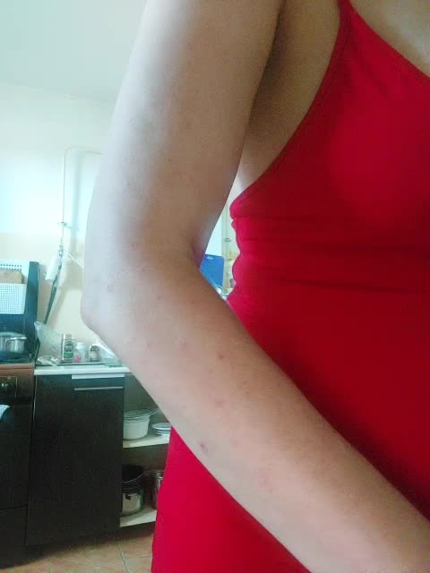 Nicollet Adult Chat September 24, 2025