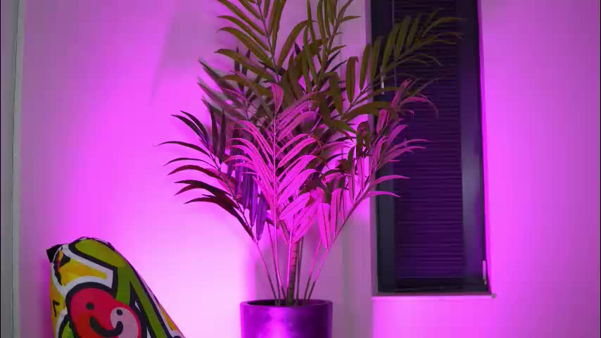 kimberdeee Adult Chat September 23, 2025