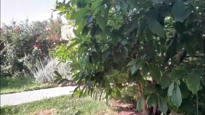 patry333 Adult Chat September 25, 2025