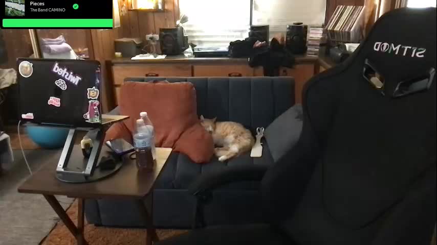 incognitoqueen Adult Chat September 21, 2025