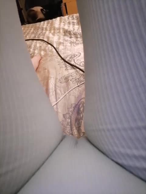 -Tiffany- Adult Chat September 23, 2025