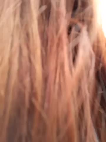 BlueHOT-MILf Adult Chat September 26, 2025