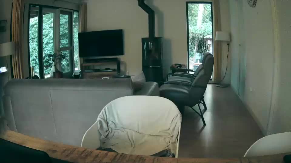 woodwurm Adult Chat September 23, 2025