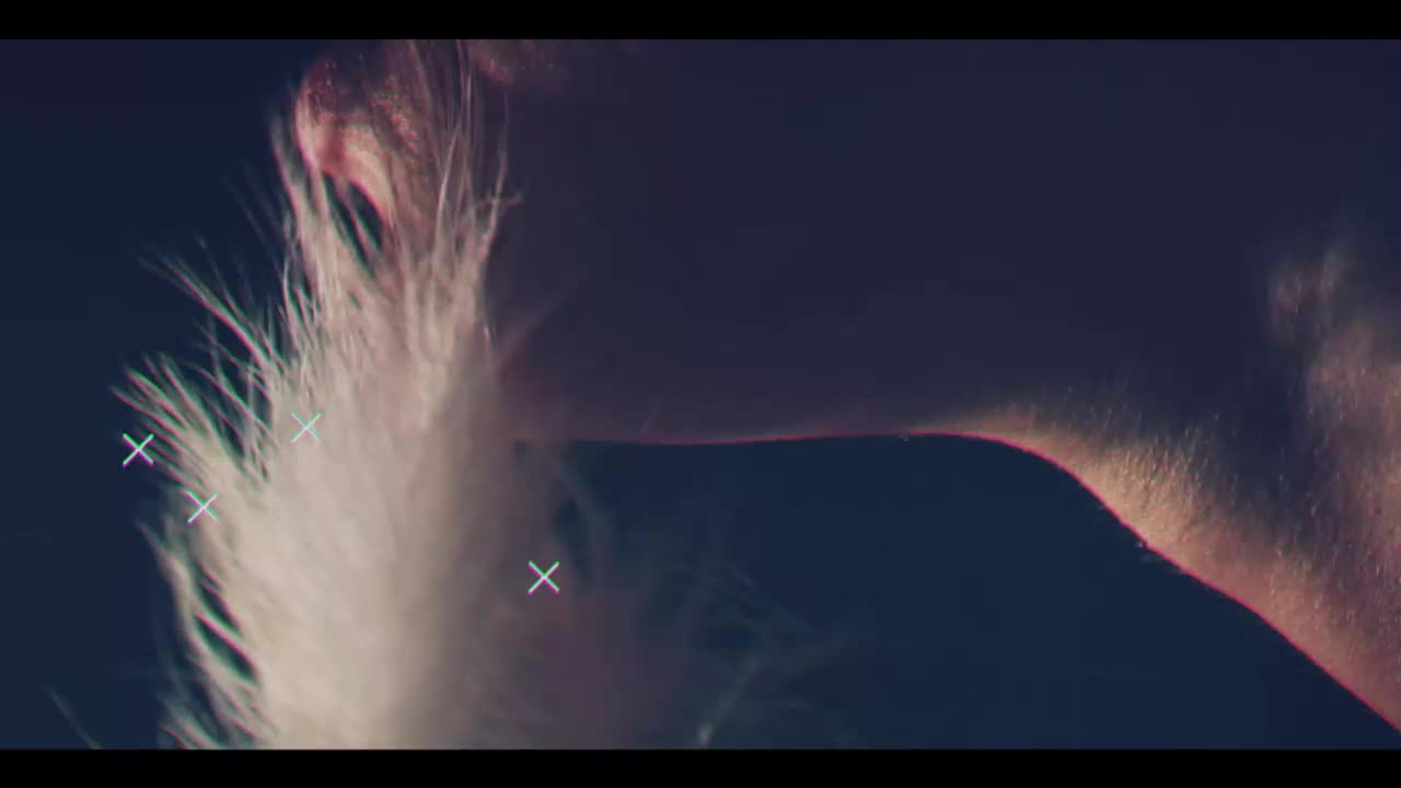 Taanni Adult Chat September 24, 2025