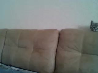 ParisMimi Adult Chat September 23, 2025