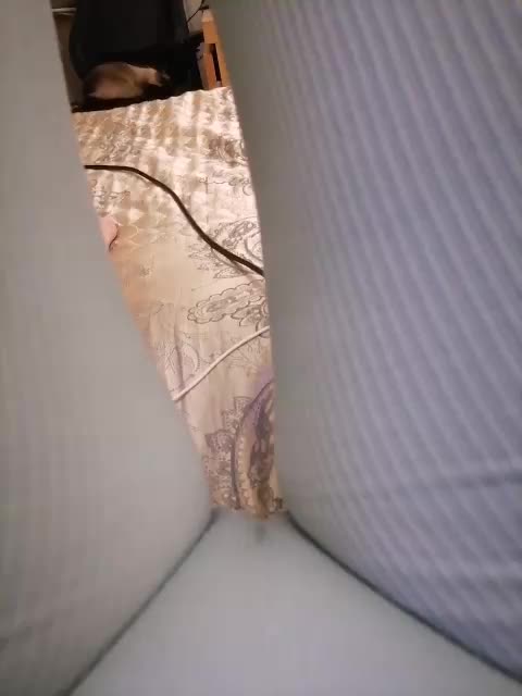 -Tiffany- Adult Chat September 24, 2025