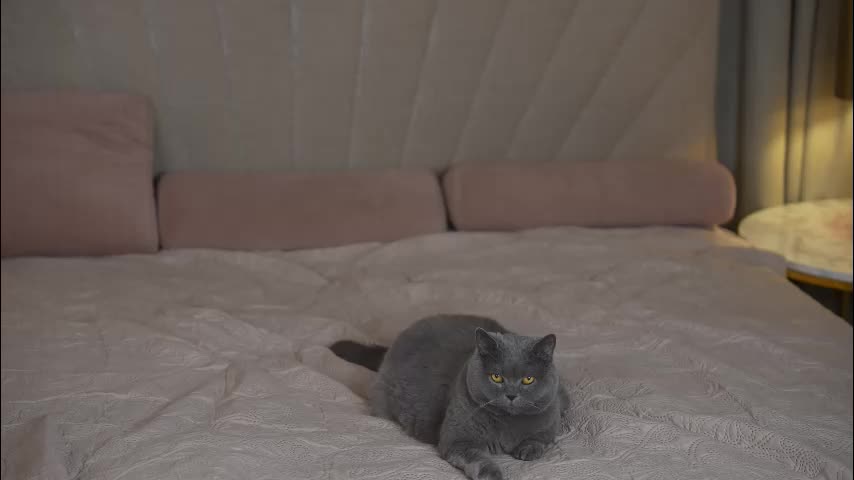 viktoria_storm Adult Chat September 21, 2025