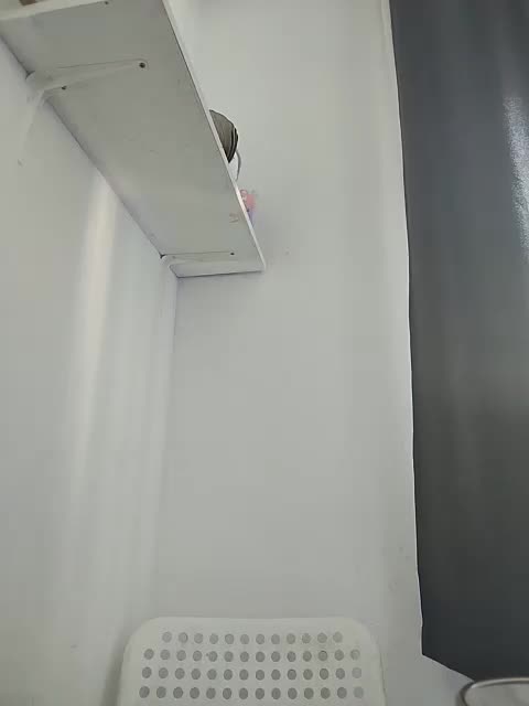 MonicaMilf Adult Chat September 24, 2025