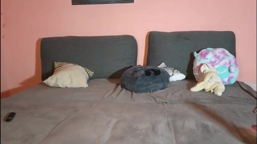 katusha008 Adult Chat September 23, 2025