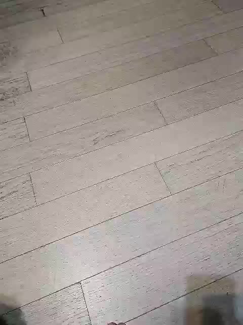 Dii-6 Adult Chat September 23, 2025