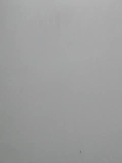 NEW_SWEET Adult Chat September 25, 2025