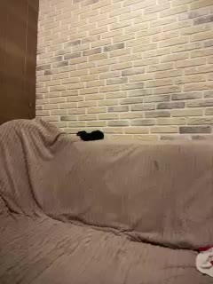 Panther_0888 Adult Chat September 24, 2025