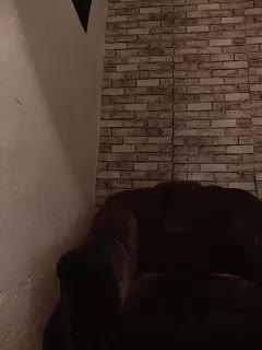 CerdAyaz Adult Chat September 25, 2025