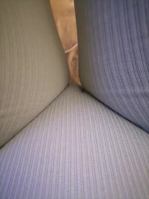 -Tiffany- Adult Chat September 25, 2025