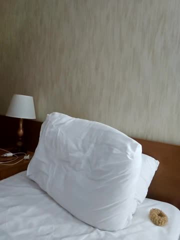 LybovNTV Adult Chat September 26, 2025