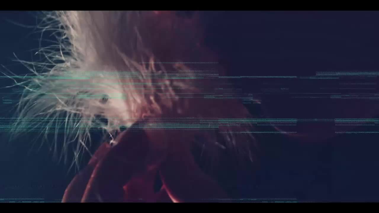 Taanni Adult Chat September 25, 2025