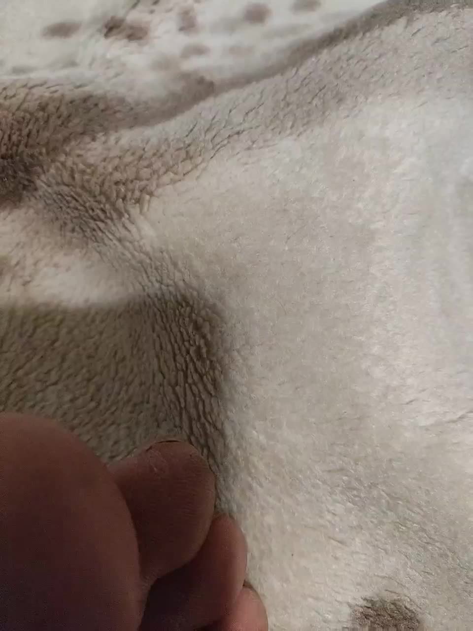 SexPara696969 Adult Chat September 27, 2025