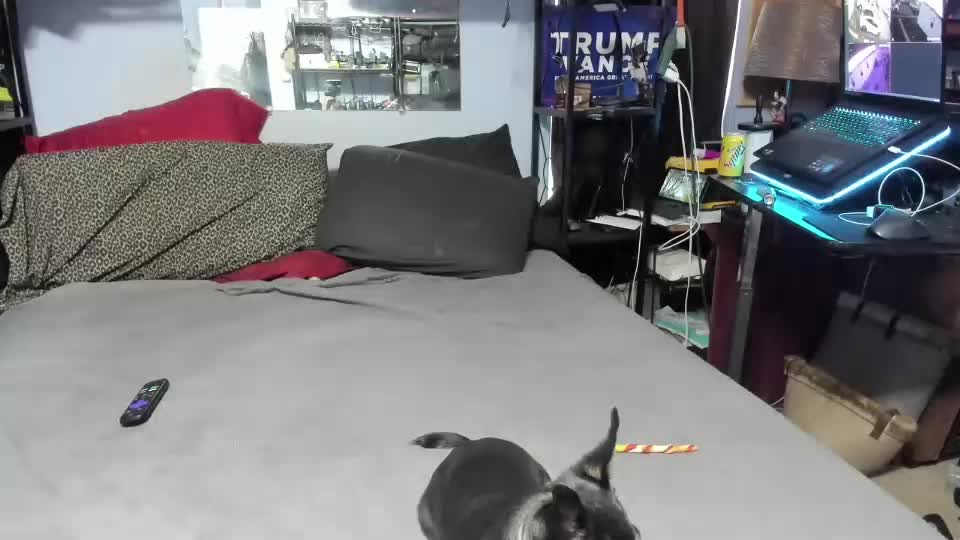 pink_black Adult Chat September 27, 2025