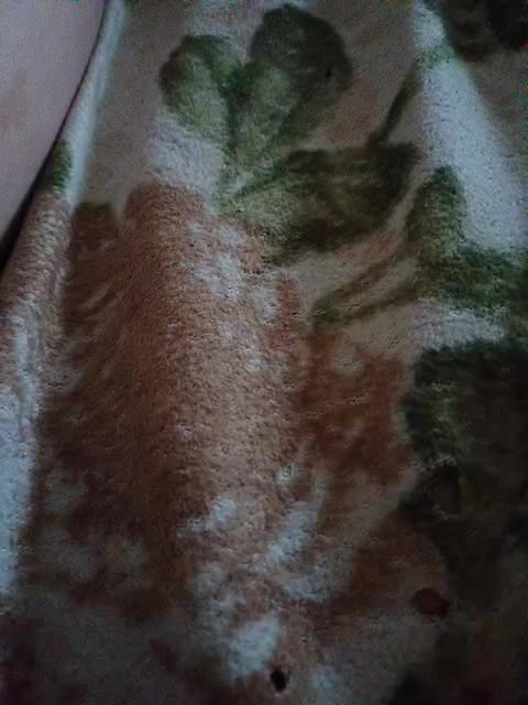 Oksy3 Adult Chat September 27, 2025