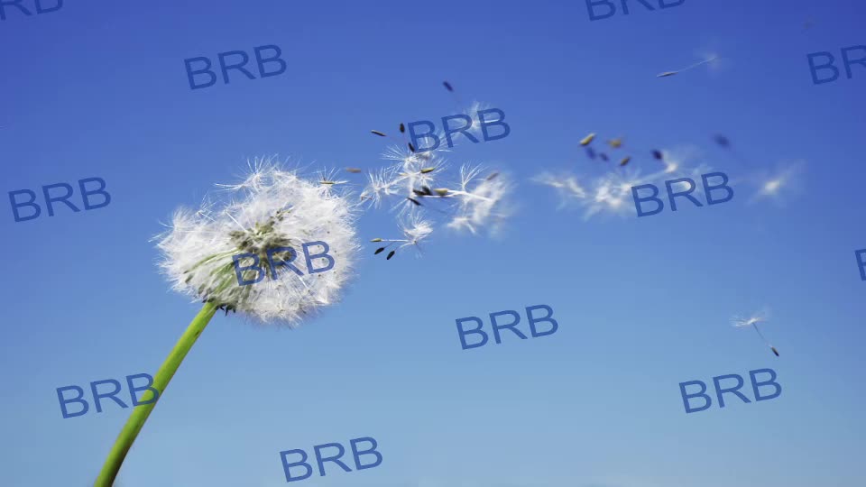 lara_fisher Adult Chat September 27, 2025