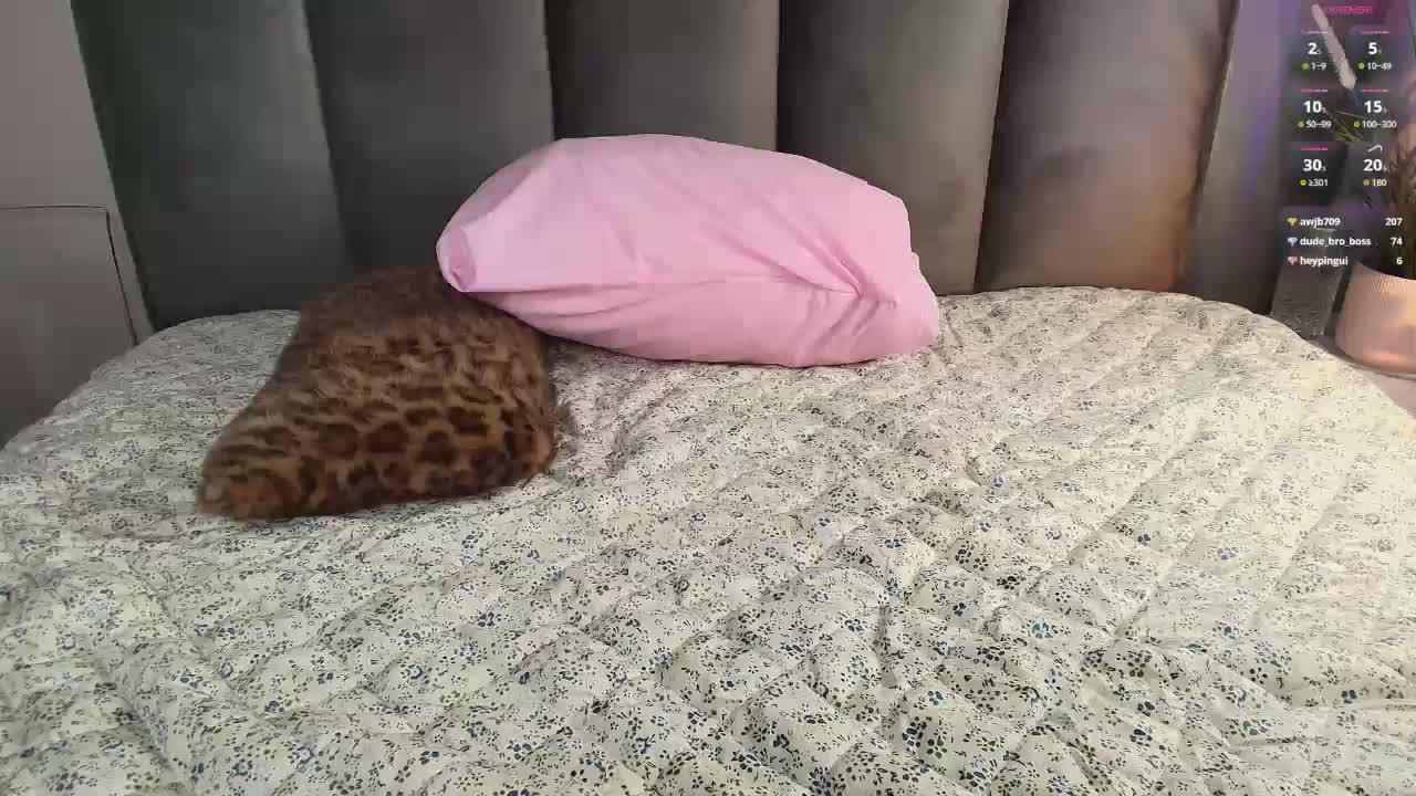 Pinkie-Pie Adult Chat September 28, 2025