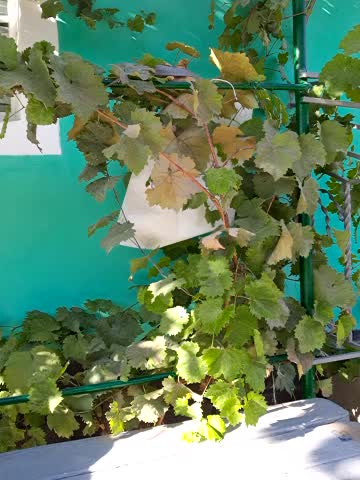 Miss_tits2025 Adult Chat September 28, 2025