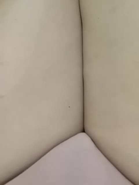 GolayaPravda Adult Chat September 29, 2025