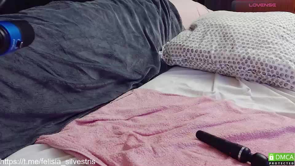 felisia_silvestris Adult Chat September 29, 2025