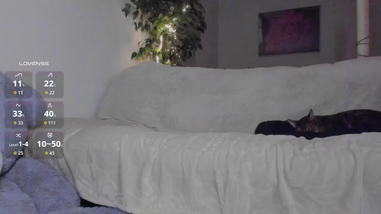 Eva_Shameless Adult Chat September 30, 2025