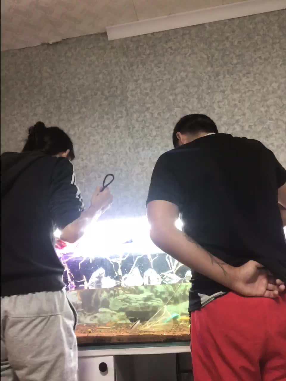 Sexicoupl Adult Chat September 30, 2025