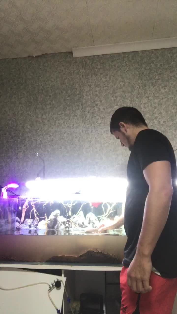 Sexicoupl Adult Chat September 30, 2025